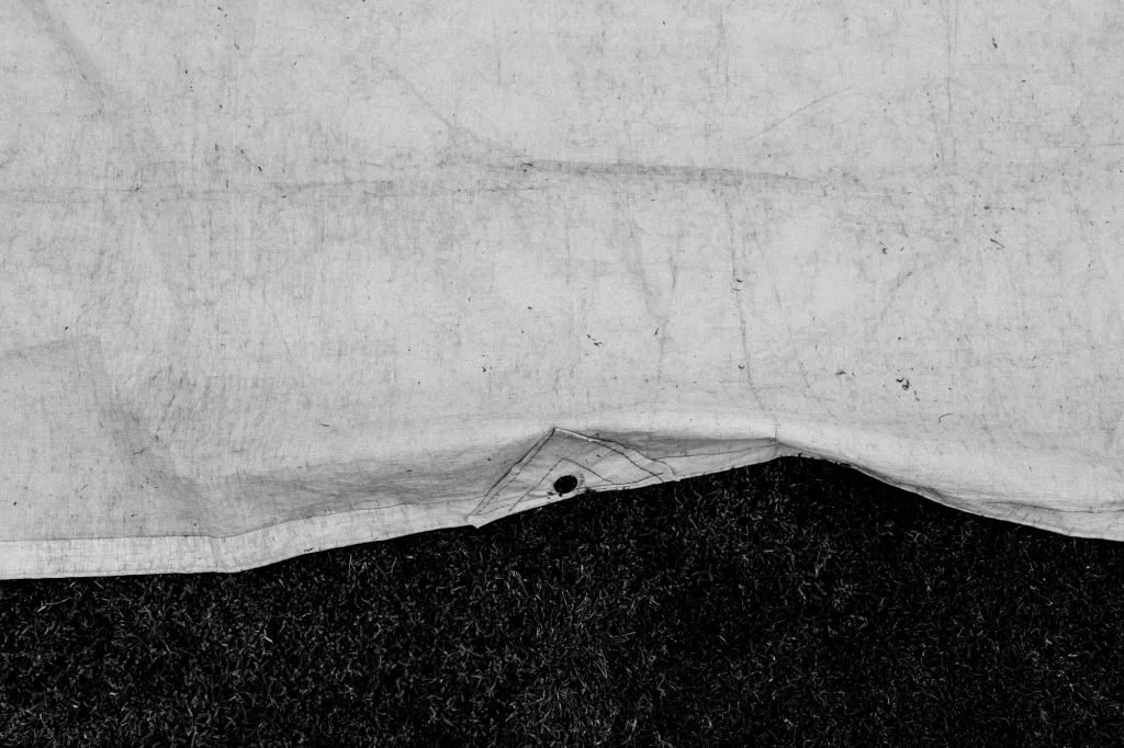 Asher Milgate | What lies beneath? 10 of 12