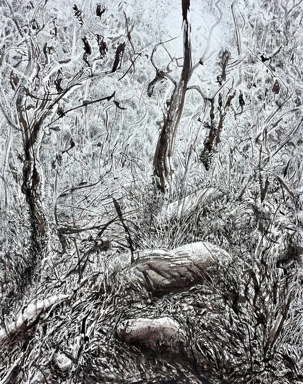 PATRICK SHIRVINGTON | Morning Banksia