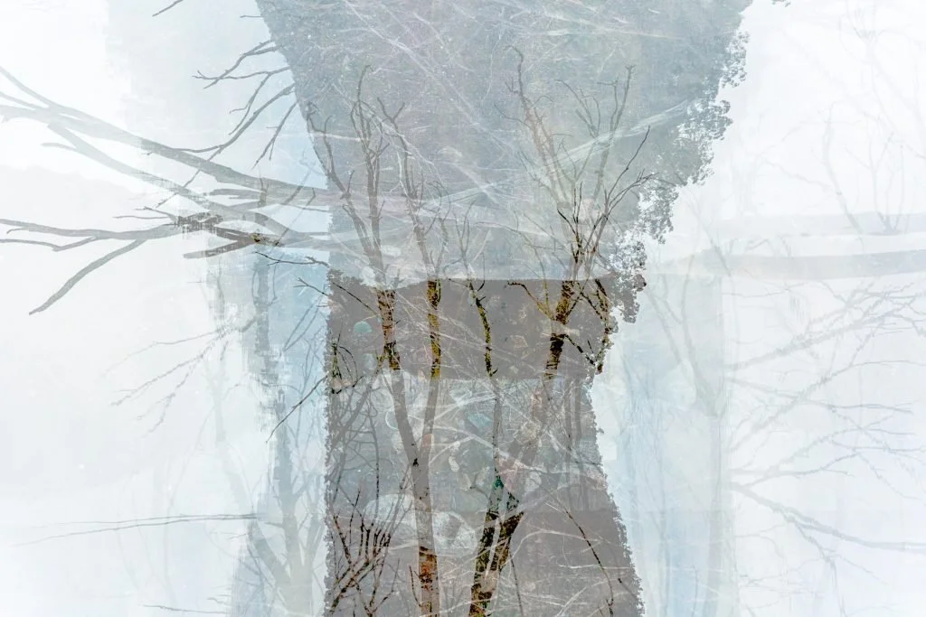 Asher Milgate | Damned – Untitled 3