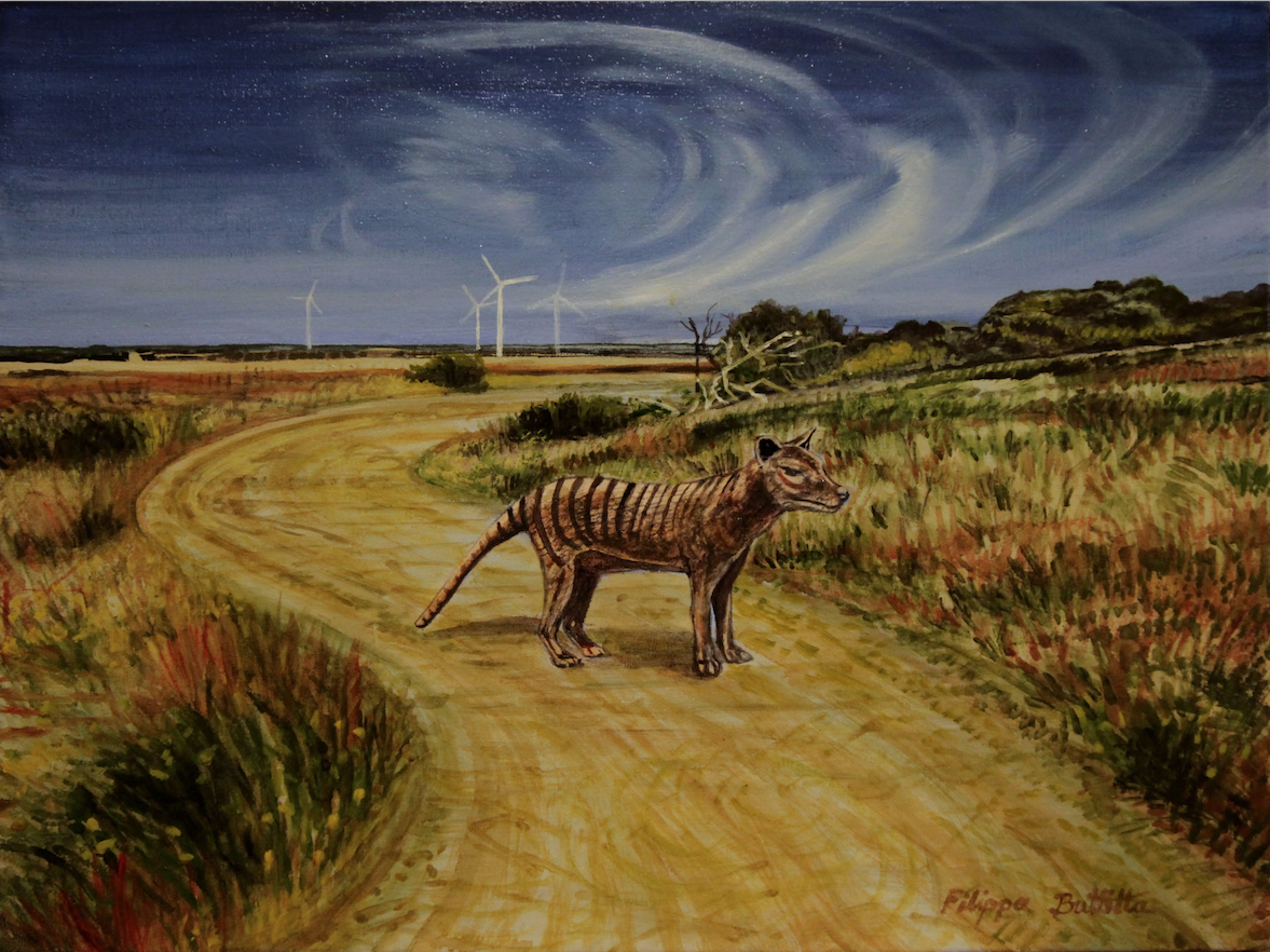 Filippa Buttitta | Seen on Path to Wind Turbines