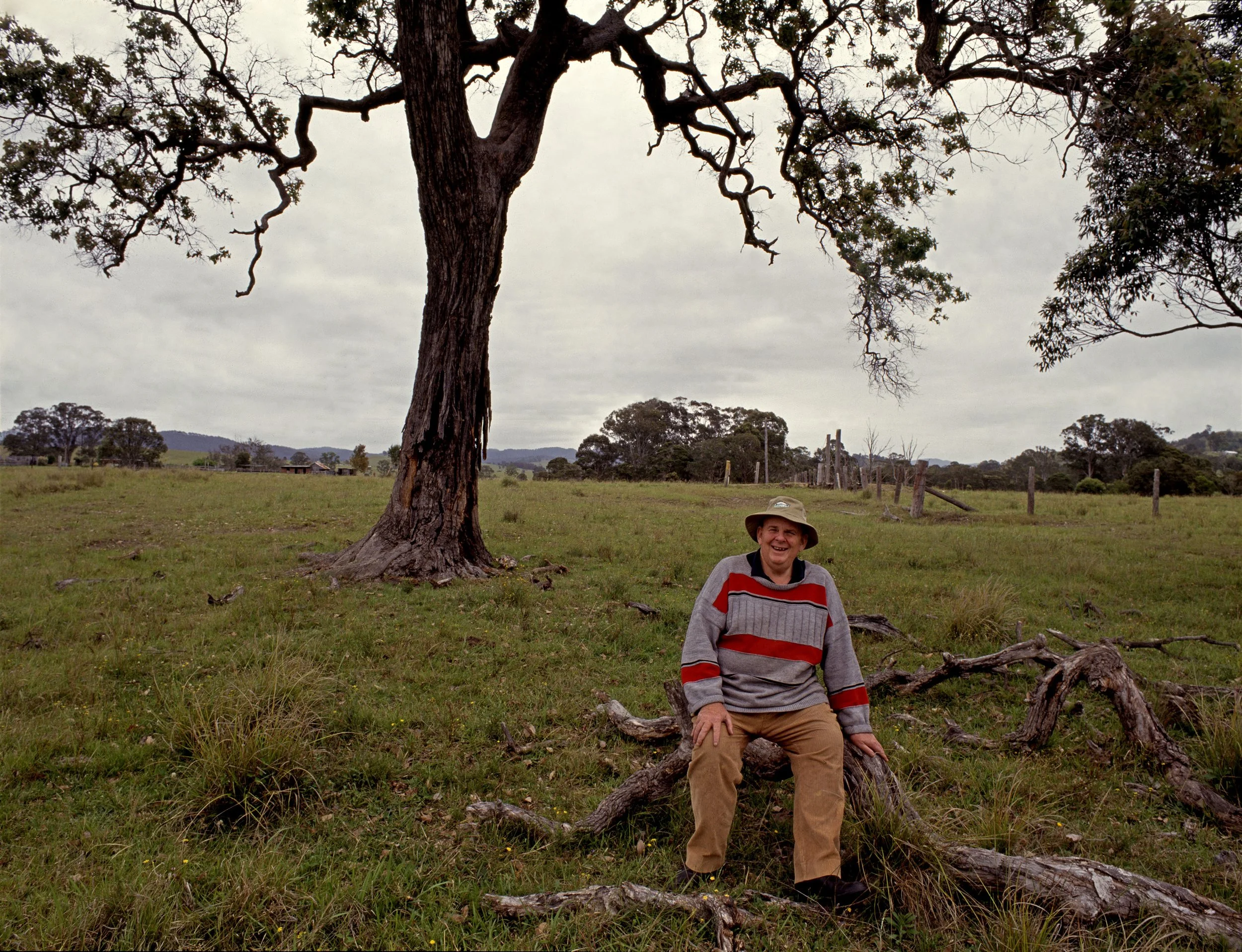 Peter Solness | Les Murray (1938-2019) Rough-barked Angophora (Angophora floribunda)  Bunyah, NSW - 1996