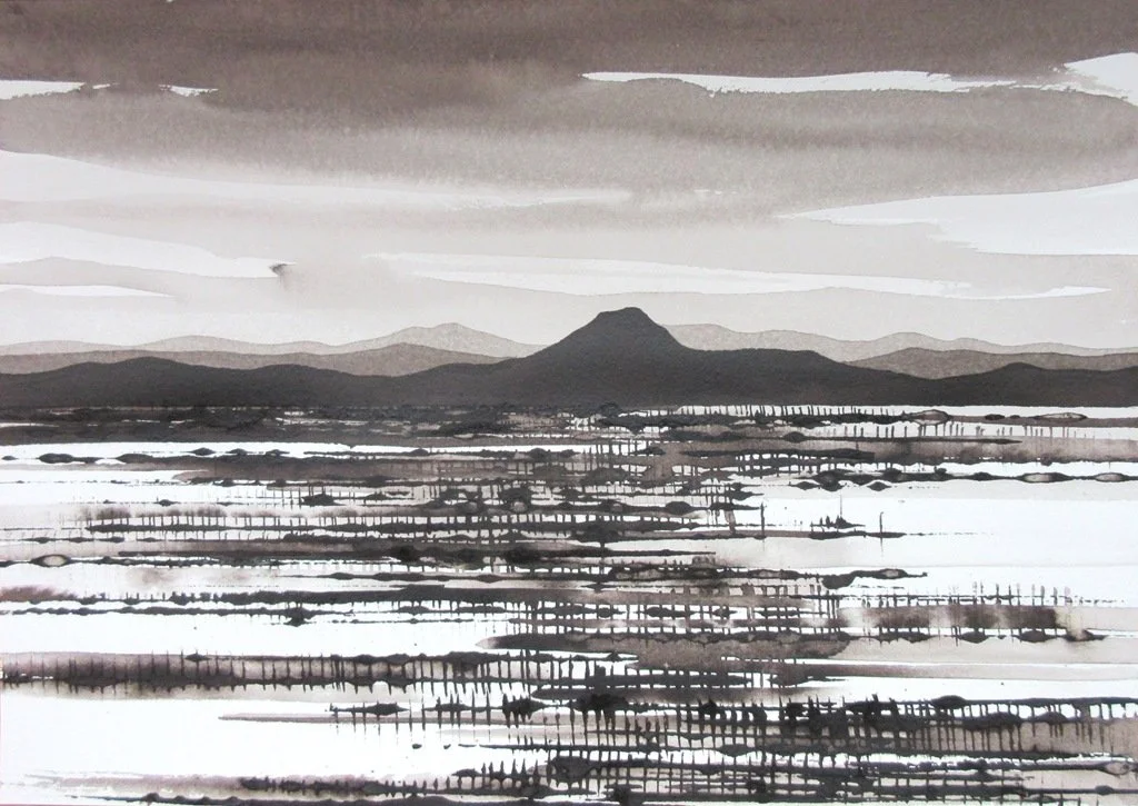 DAVID MIDDLEBROOK | Mountain and Spinifex