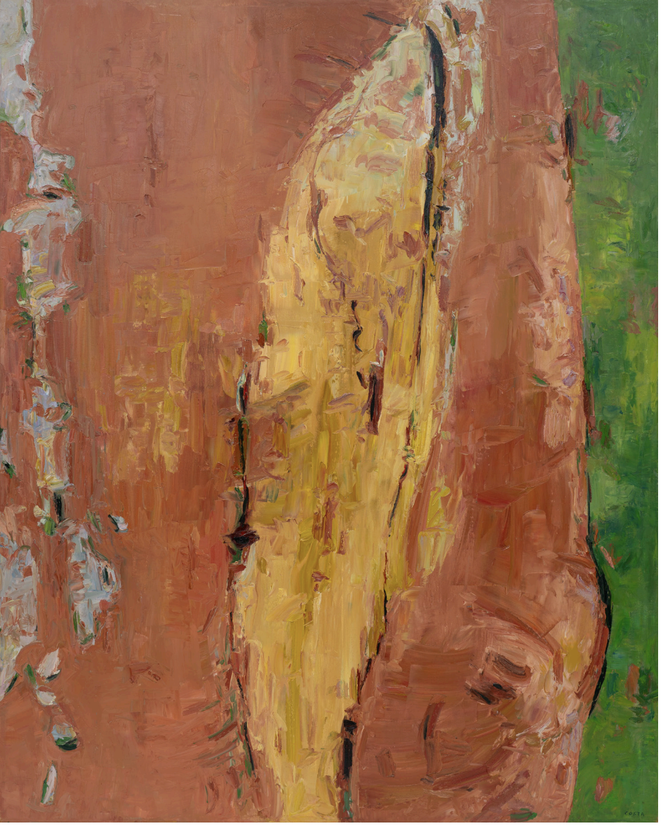 Tony Costa_Angophora No 4.png
