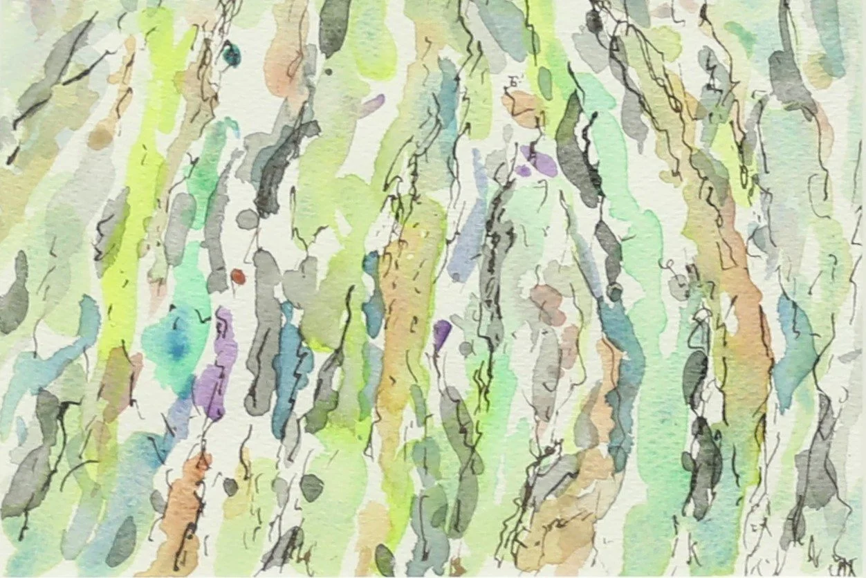 PHILIP COX | Misty Forest 5