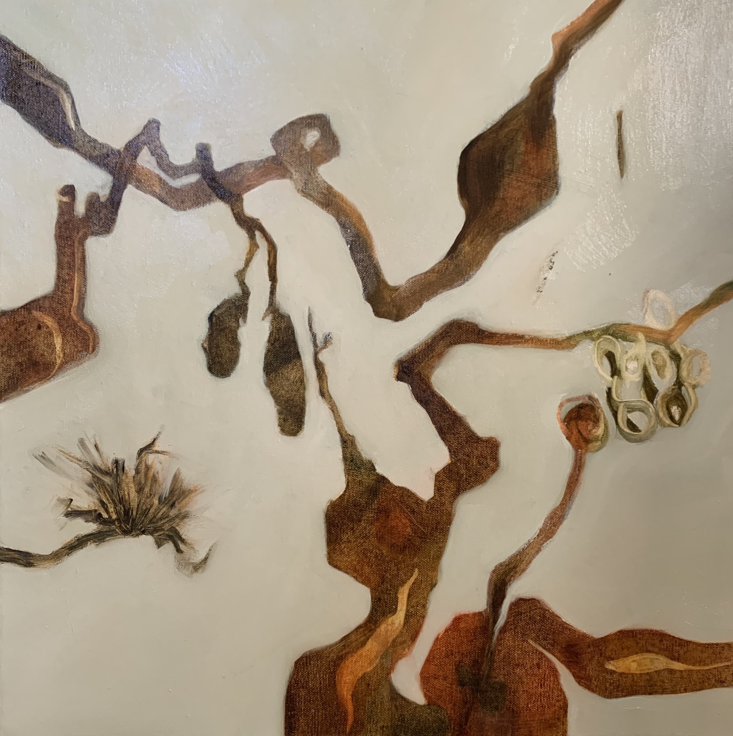 13. Weird and Wonderful_61 x61cm_.jpeg