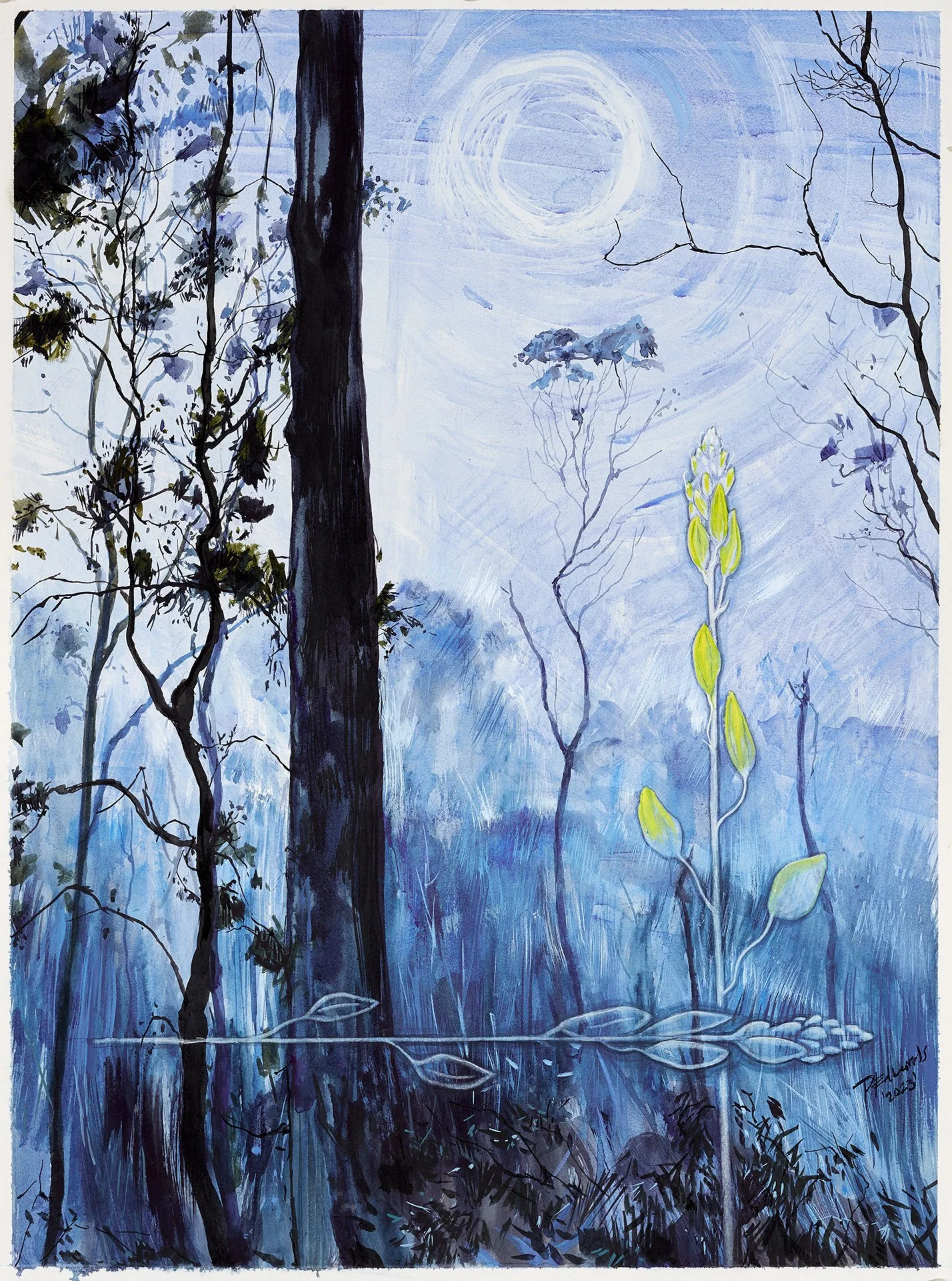 PHILLIP EDWARDS | Seasons rising – Bulbine