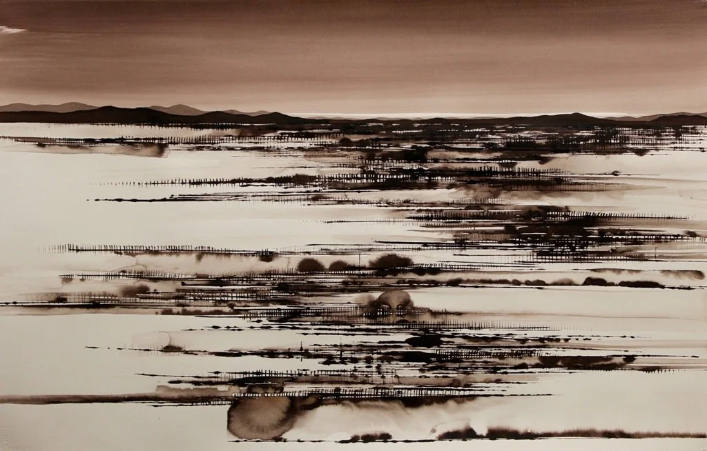 DAVID MIDDLEBROOK | Desert Field, Western NSW