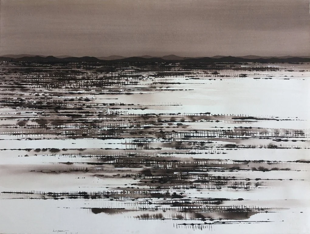 DAVID MIDDLEBROOK | Salt Lake and Field, near Tibooburra