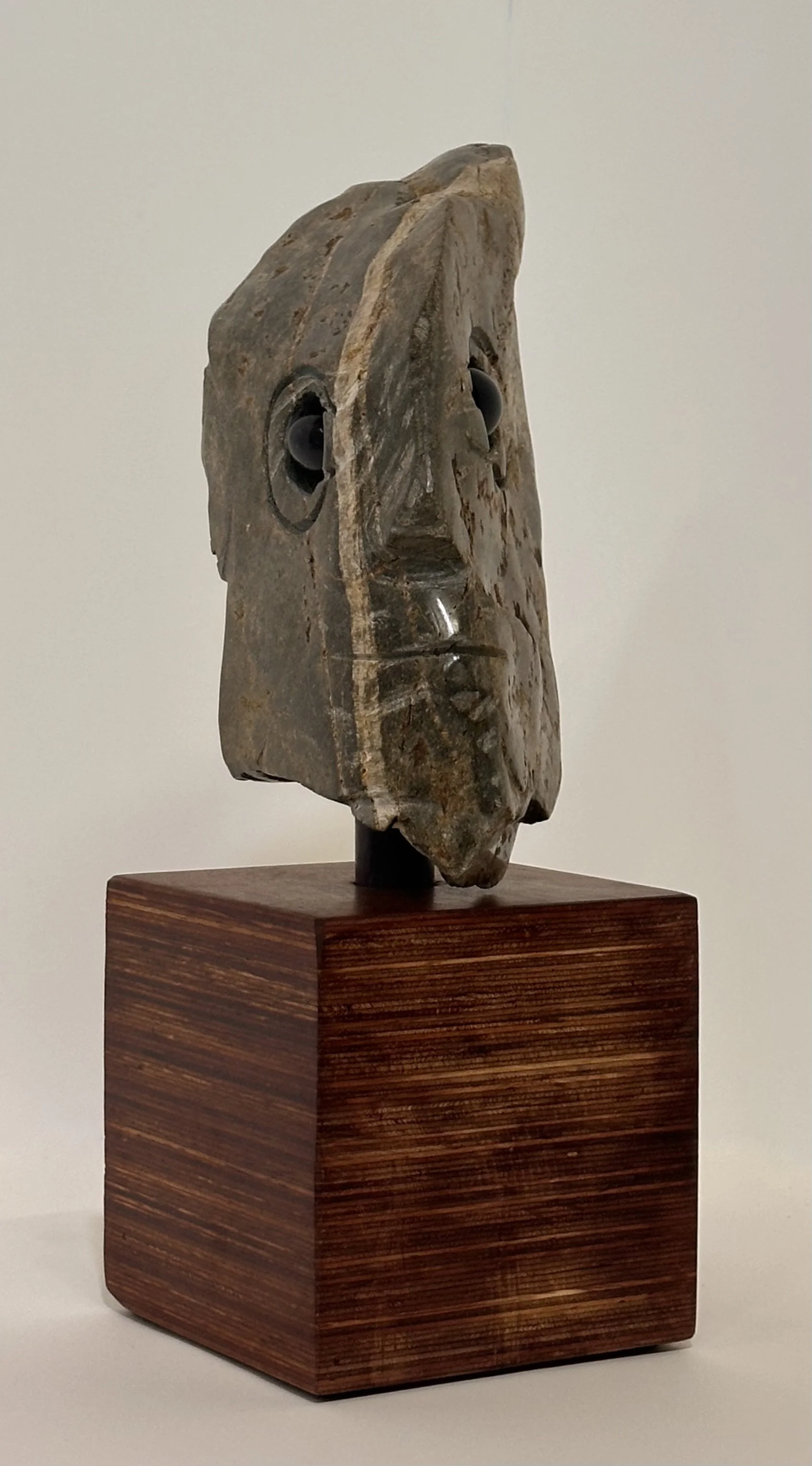 Carlos Barrios | Dolphin man 1