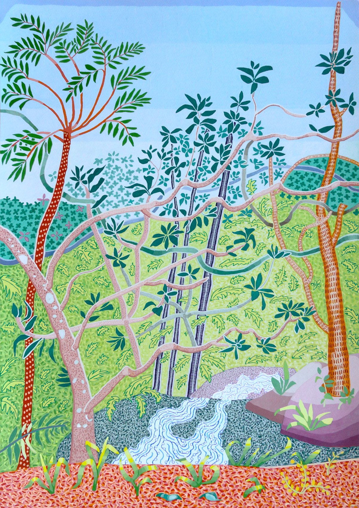 JACQUELINE BALASSA | Carol’s Rainforest