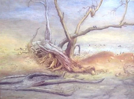 MAX MILLER | Apostle birds Mount Wood Tibooburra