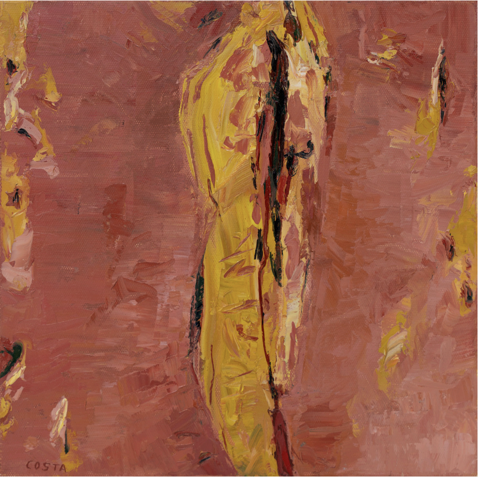 Tony Costa_Angophora No 24.png