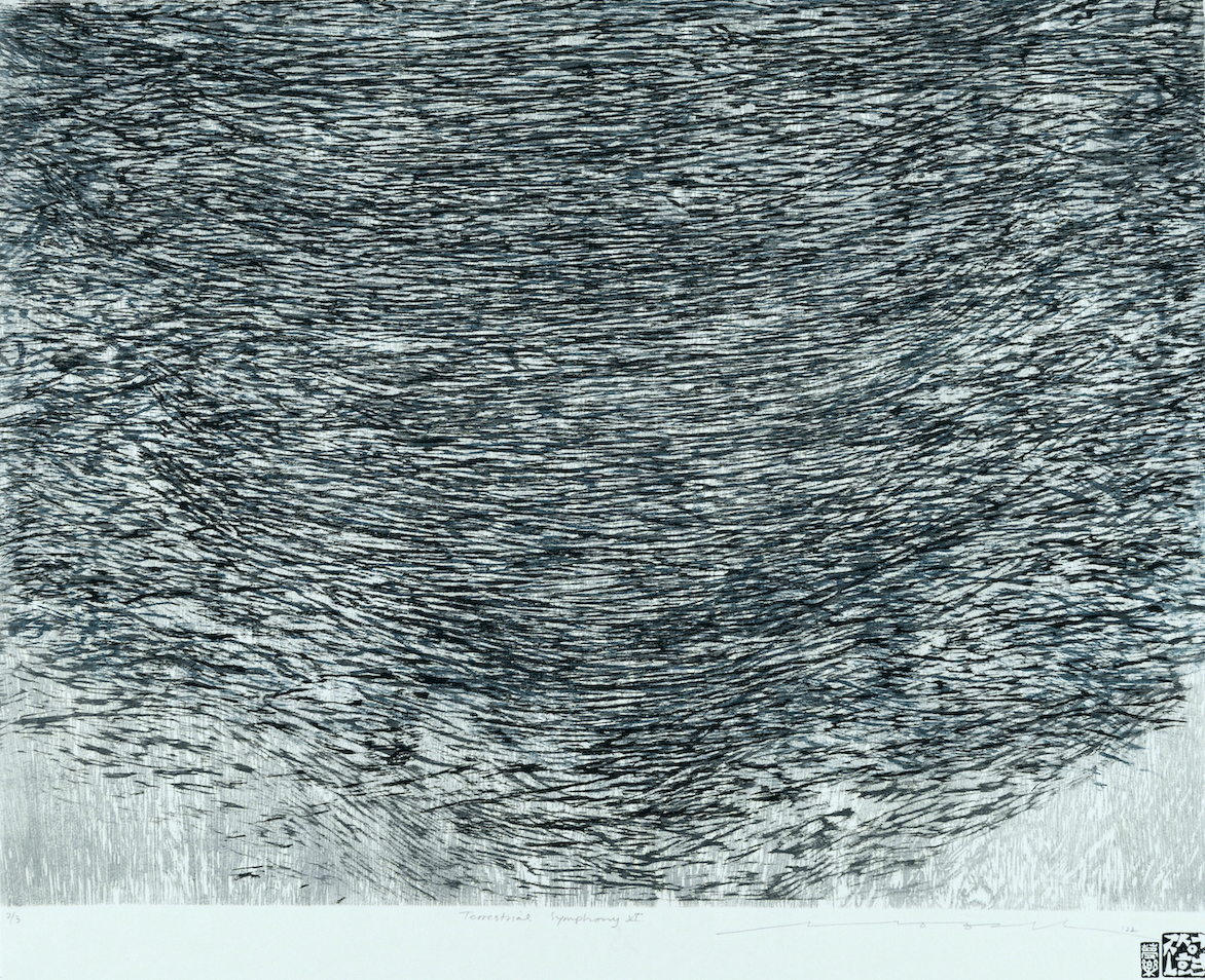 SEONG CHO | Terrestrial Symphony  VI