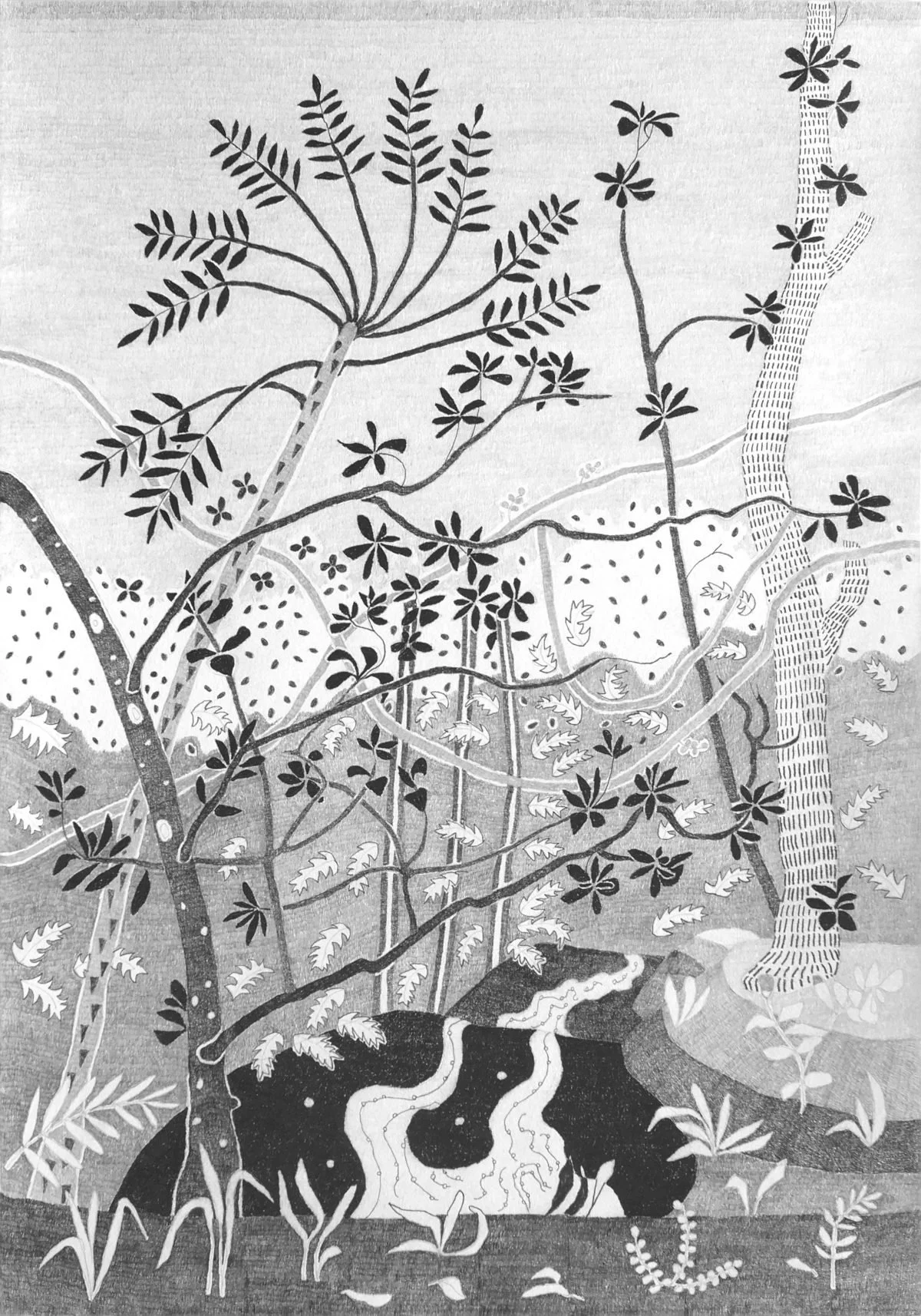 Jacqueline Balassa | Rainforest #2