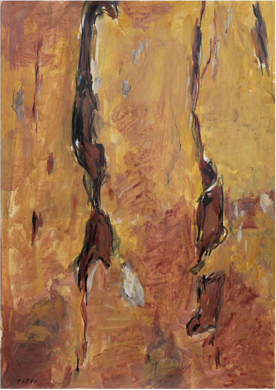 Tony Costa_Angophora No 29.png