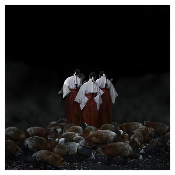 LUKE HARDY | Foxfires/Kitsune-bi IX