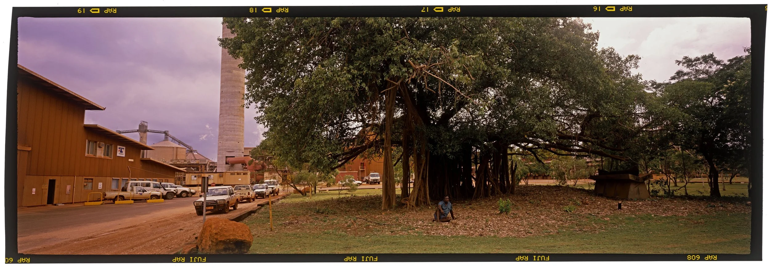 31_1998_SACRED_BANYAN_MIDRES copy.jpg