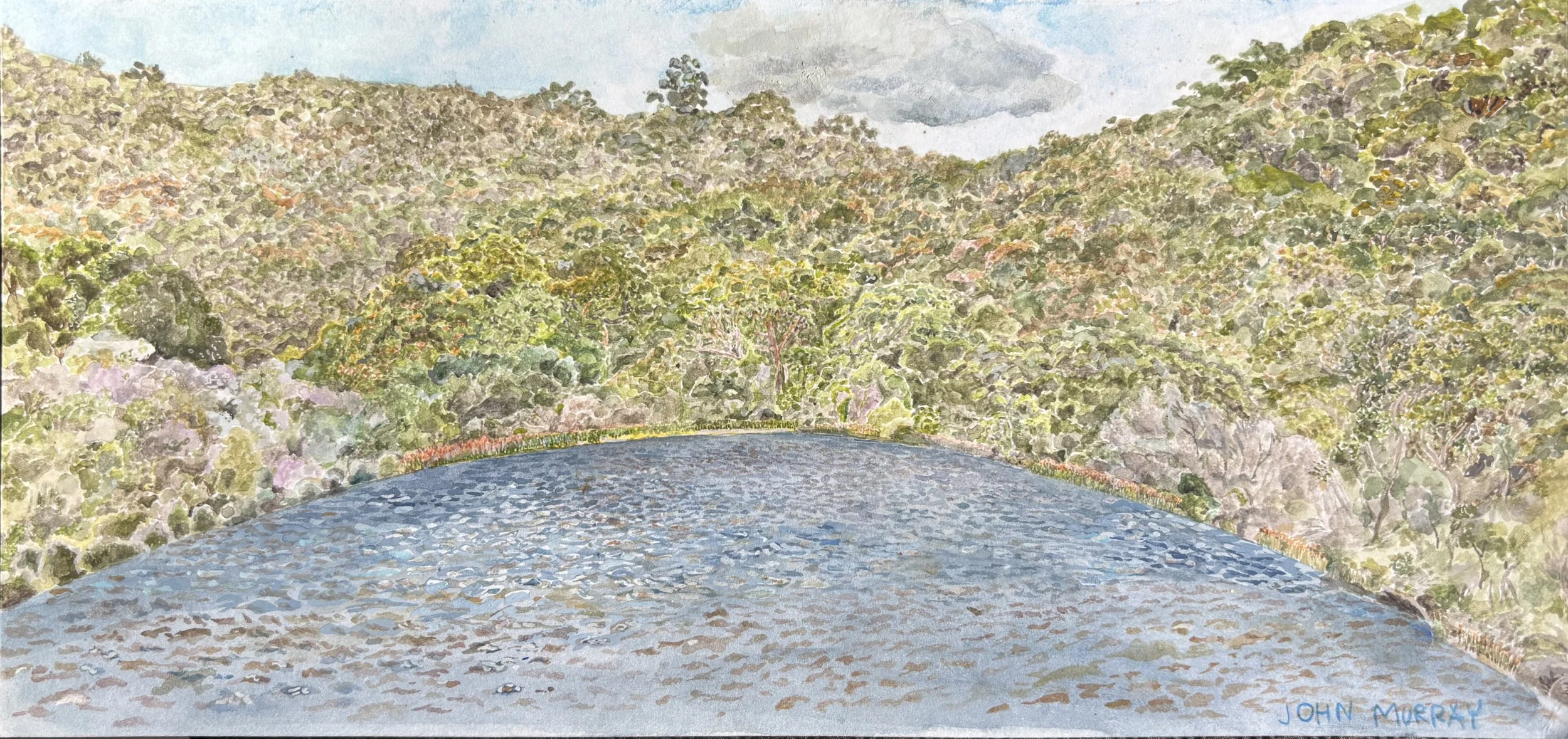 JOHN MURRAY | Manly Dam, Gayamaygal Country