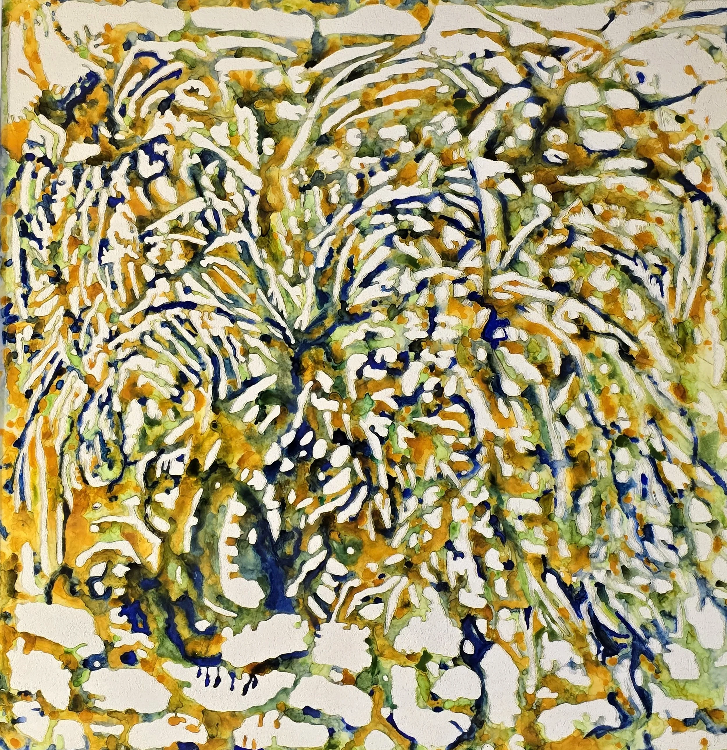 ANDREW TOMKINS | The Persimmon