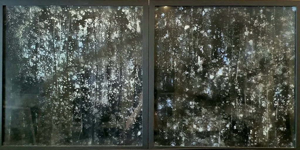 Andrew Tomkins | Morning Dew