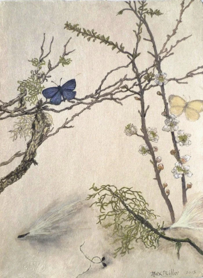 MAX MILLER | Flying Seeds, Wonga Vine