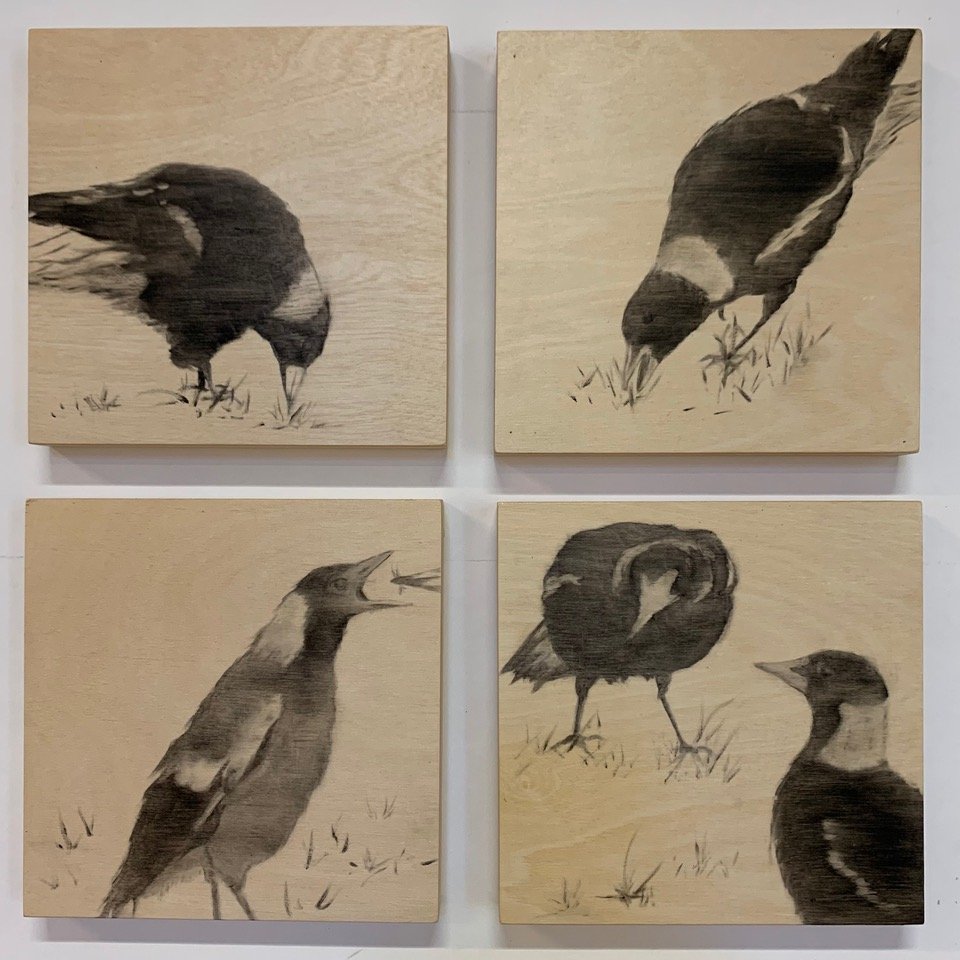 MICHELLE BELGIORNO | Feathered Friends