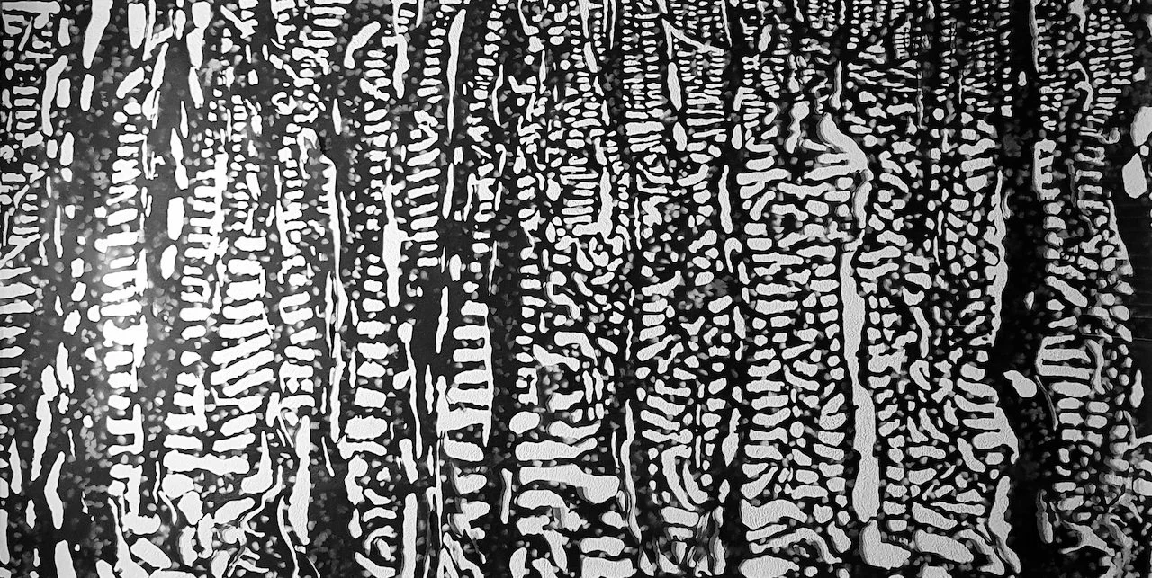 Andrew Tomkins | Safe from the Rising Tide