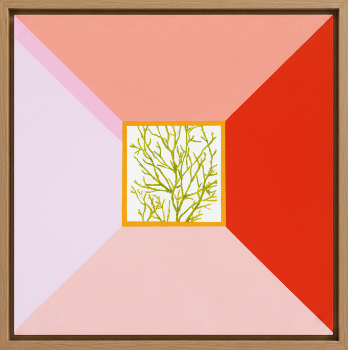 LUCY MOLONEY | Blush Refraction
