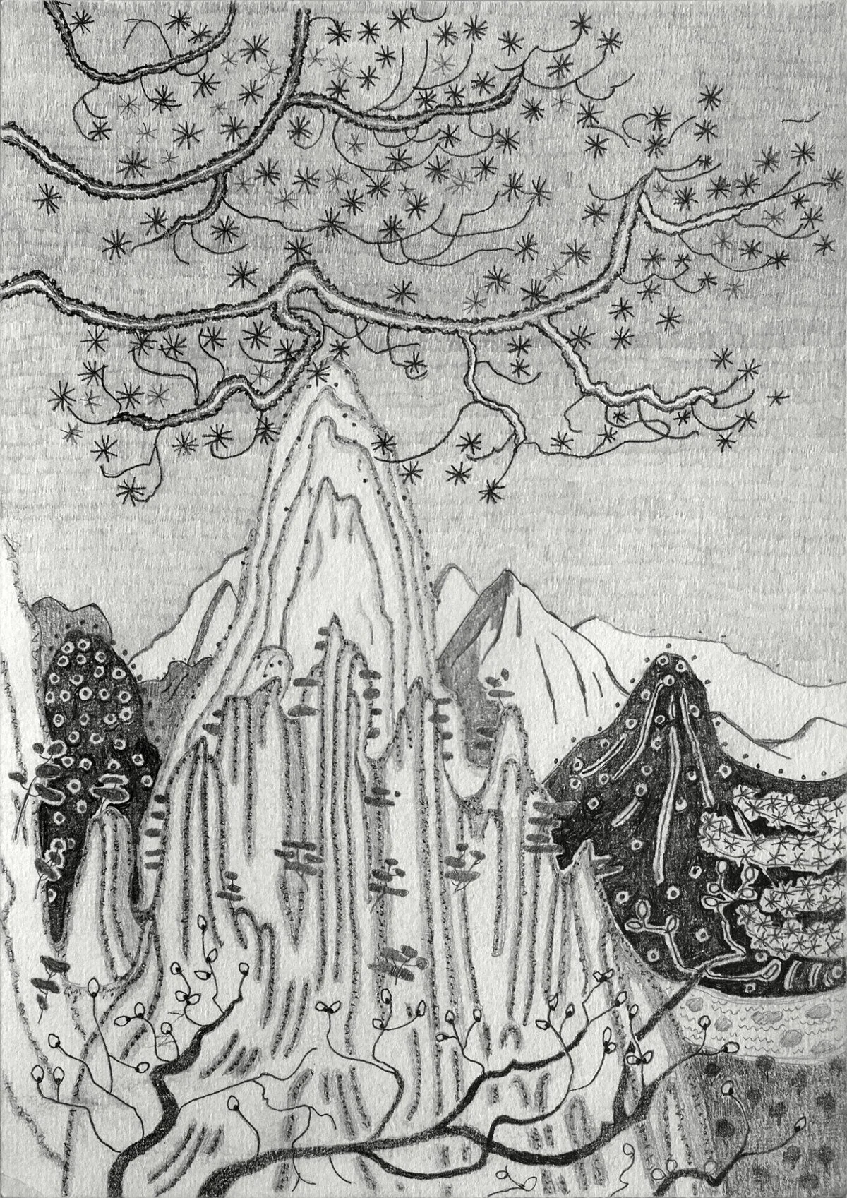 Jacqueline Balassa | Scenes from Yellow Mountain #2