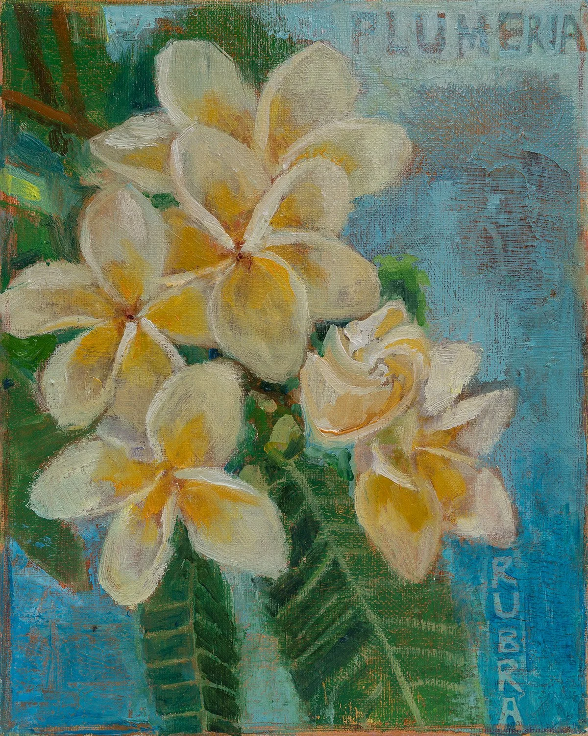 Kaye Mahoney | Flora #24 Frangipani (Plumeria rubra)
