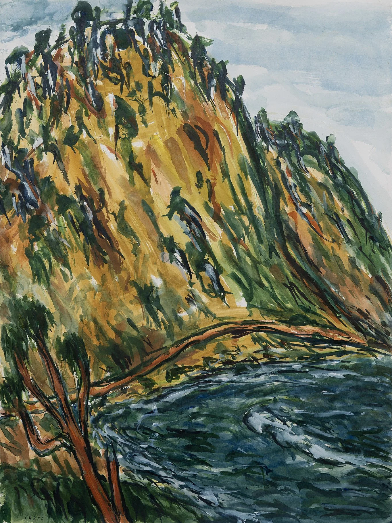 TONY COSTA | Track to Garie with Banksia 1