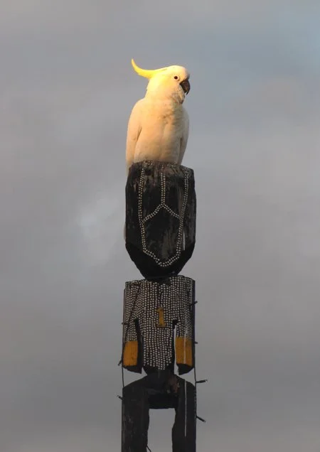 JASON WING | I have been waiting a long time to meet you