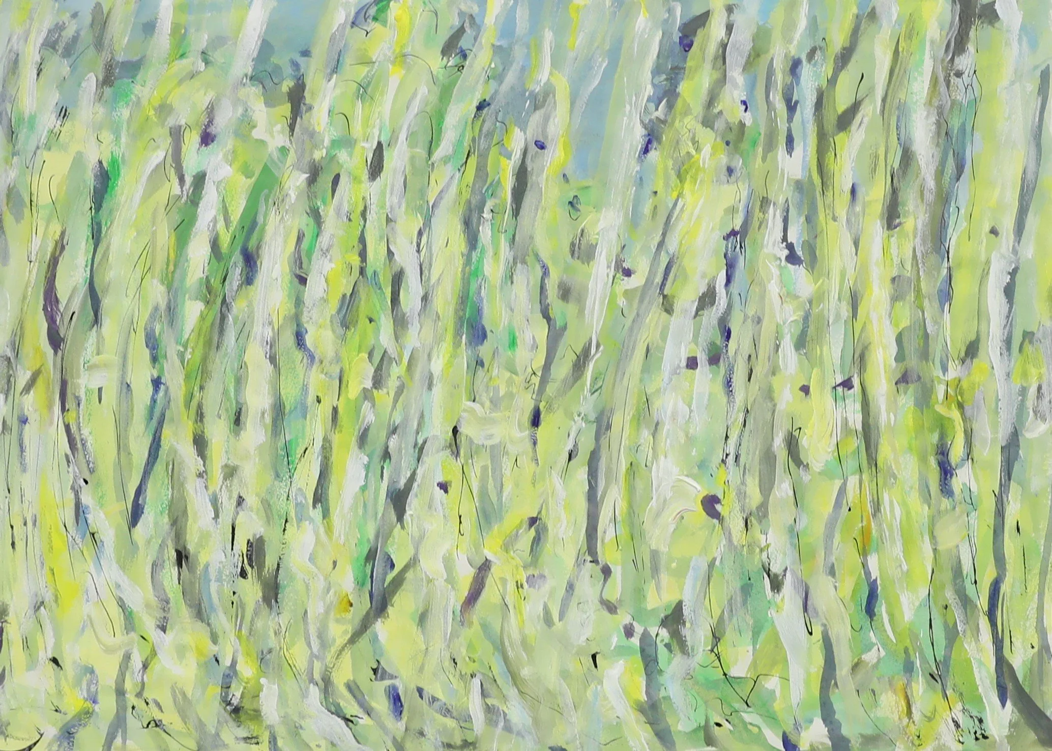 PHILIP COX | Misty Forest 2