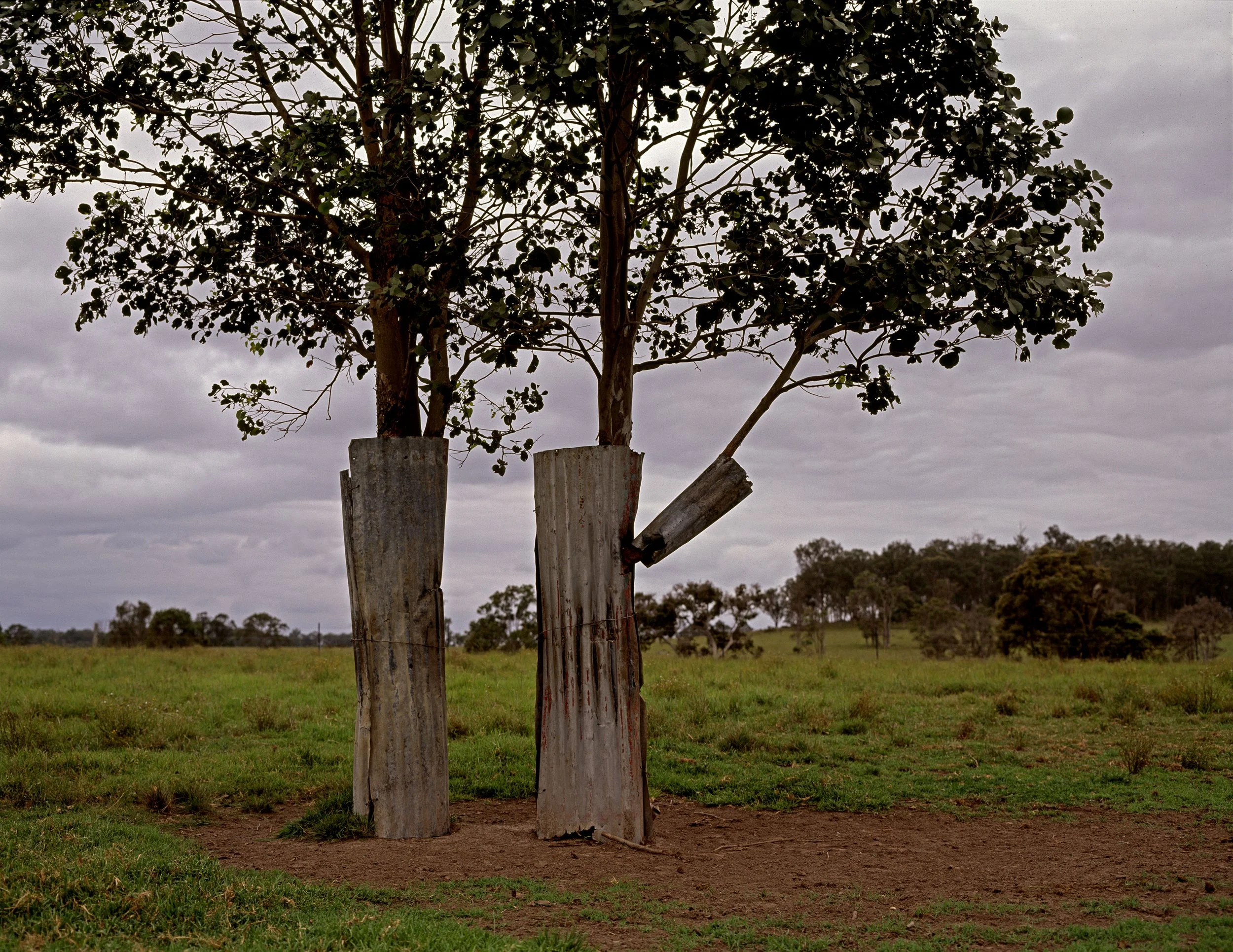 19_RURAL_1996_STOCKYARD_MIDRES.jpg
