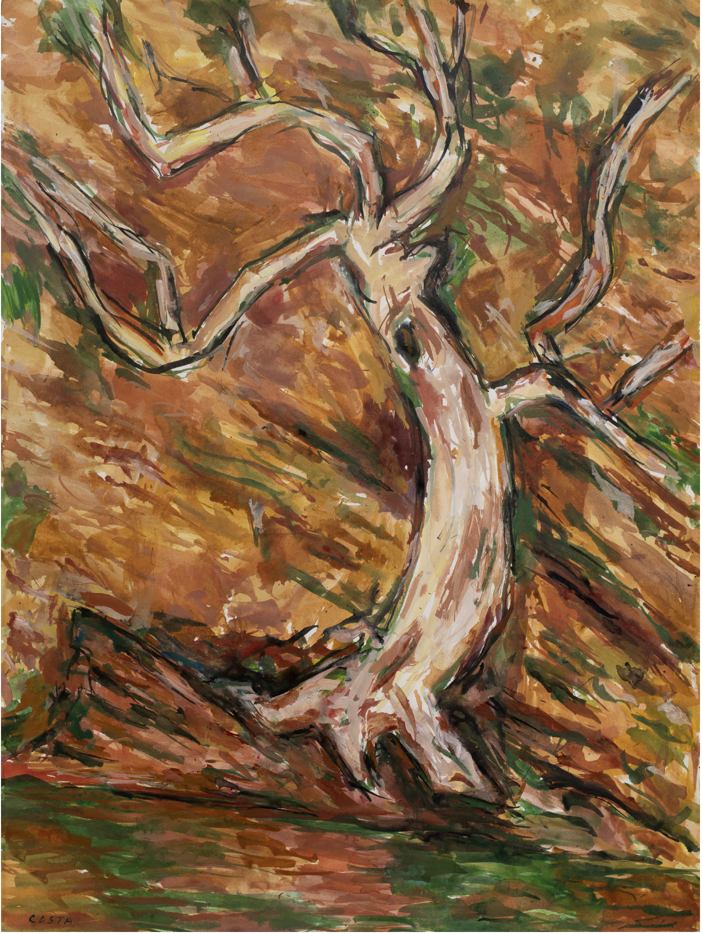 Tony Costa_Angophora No 18.png