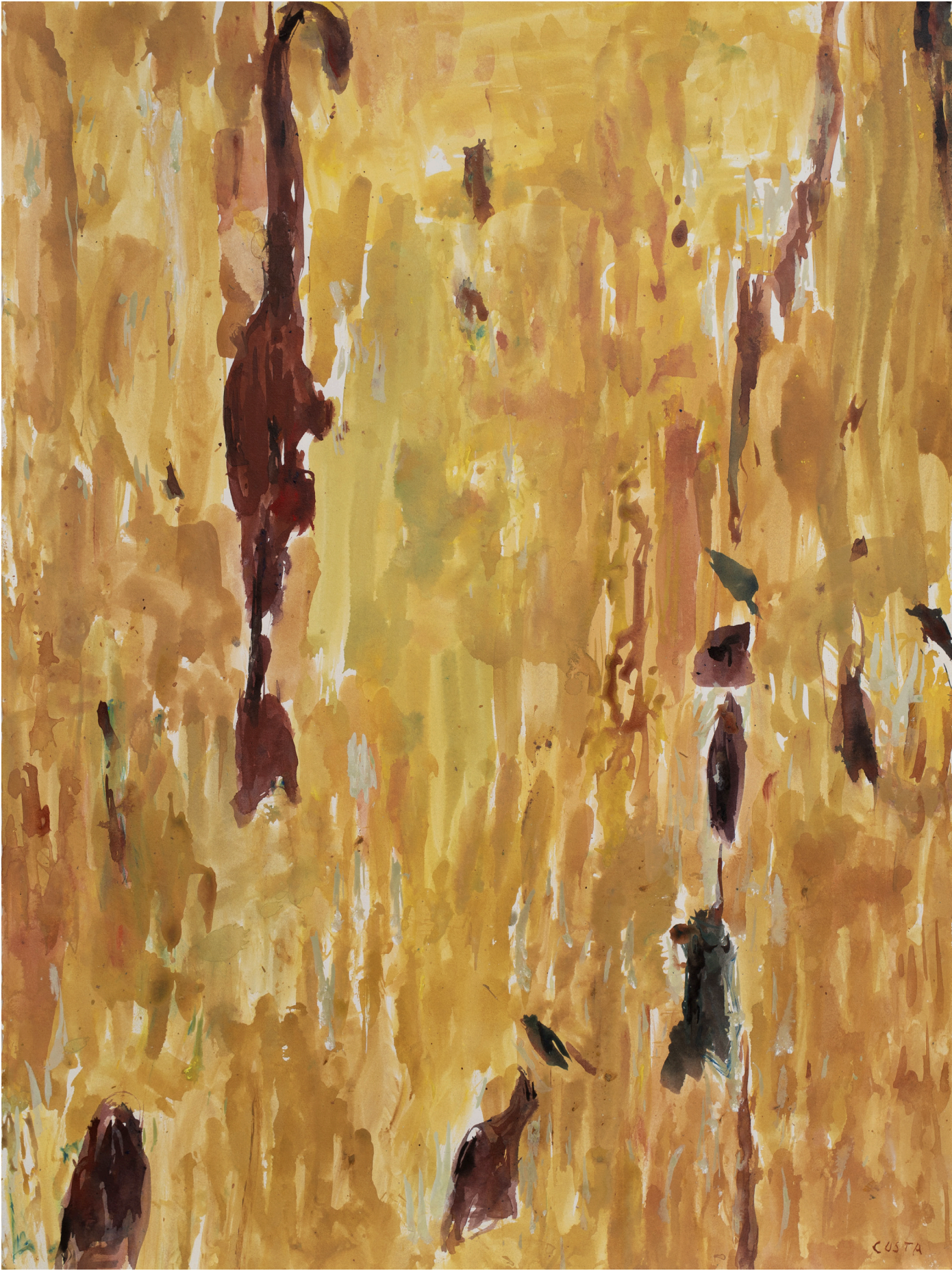 Tony Costa_Angophora No 22.png