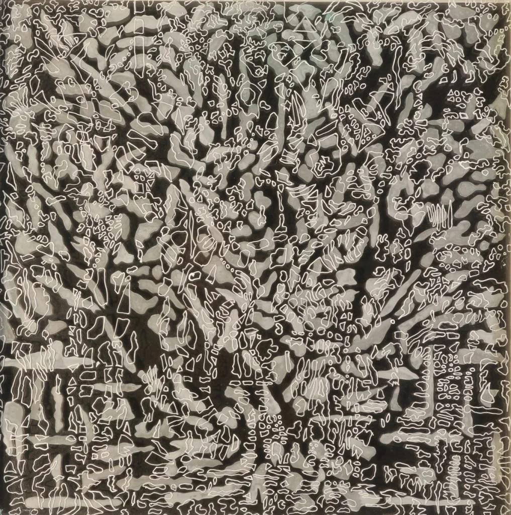 Andrew Tomkins | Chain of Ponds III