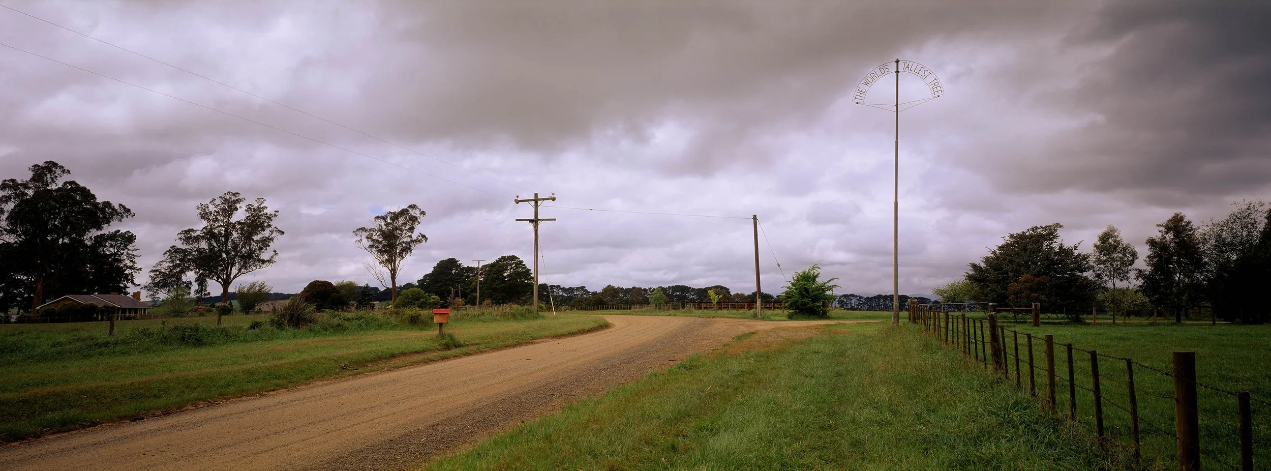 Peter Solness | Site of the World’s Tallest Tree Thorpdale, Victoria – 1997