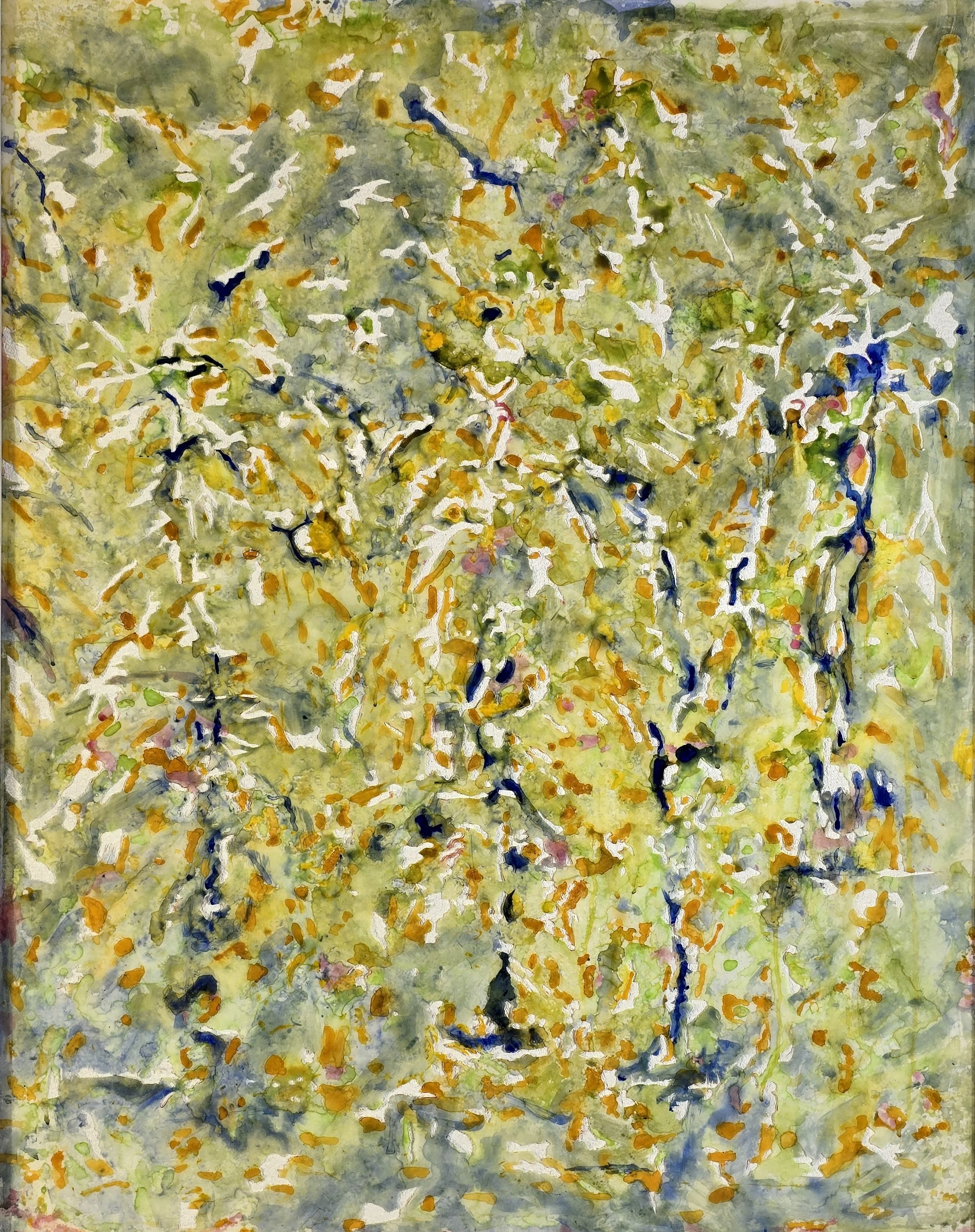 ANDREW TOMKINS | The Orchard