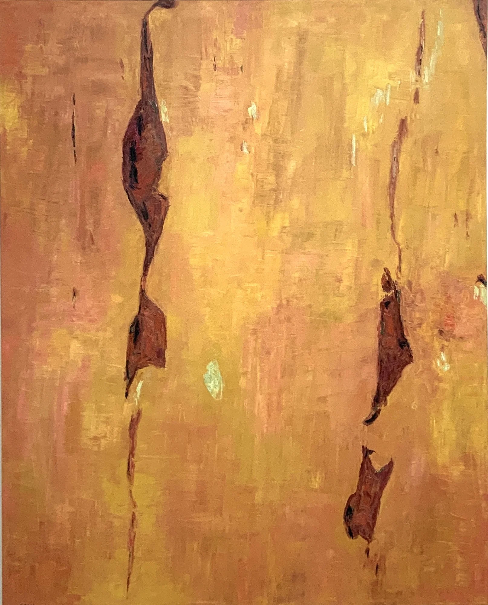 TONY COSTA | ANGOPHORA NO 1