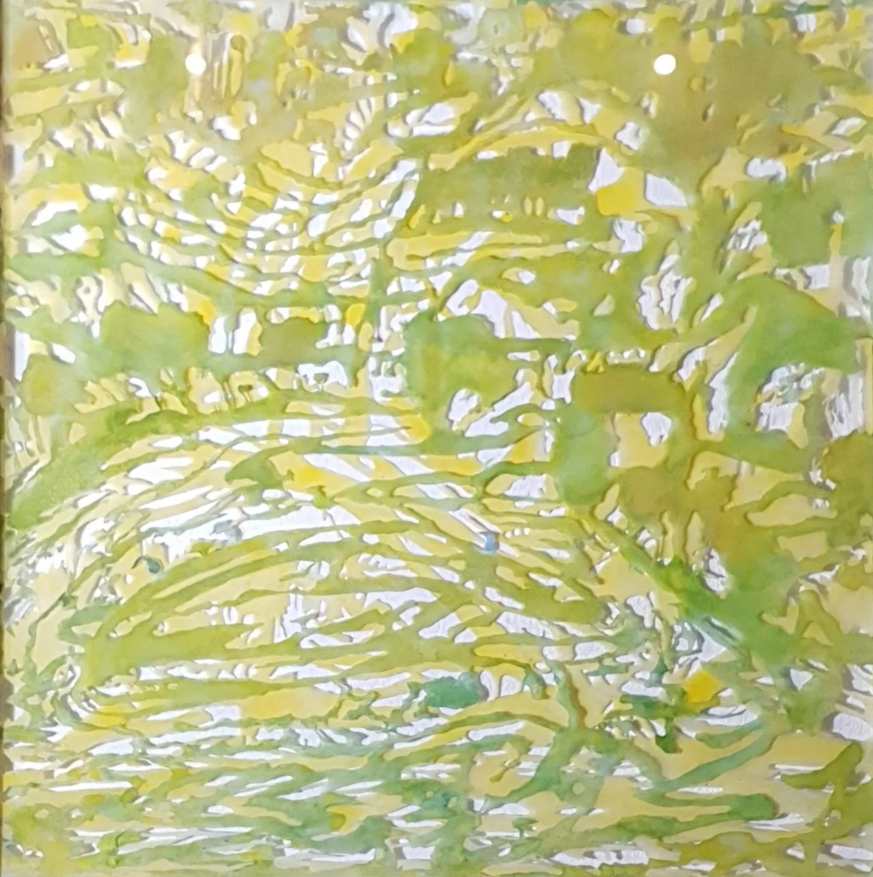 Andrew Tomkins | 3 Shags on a Rock