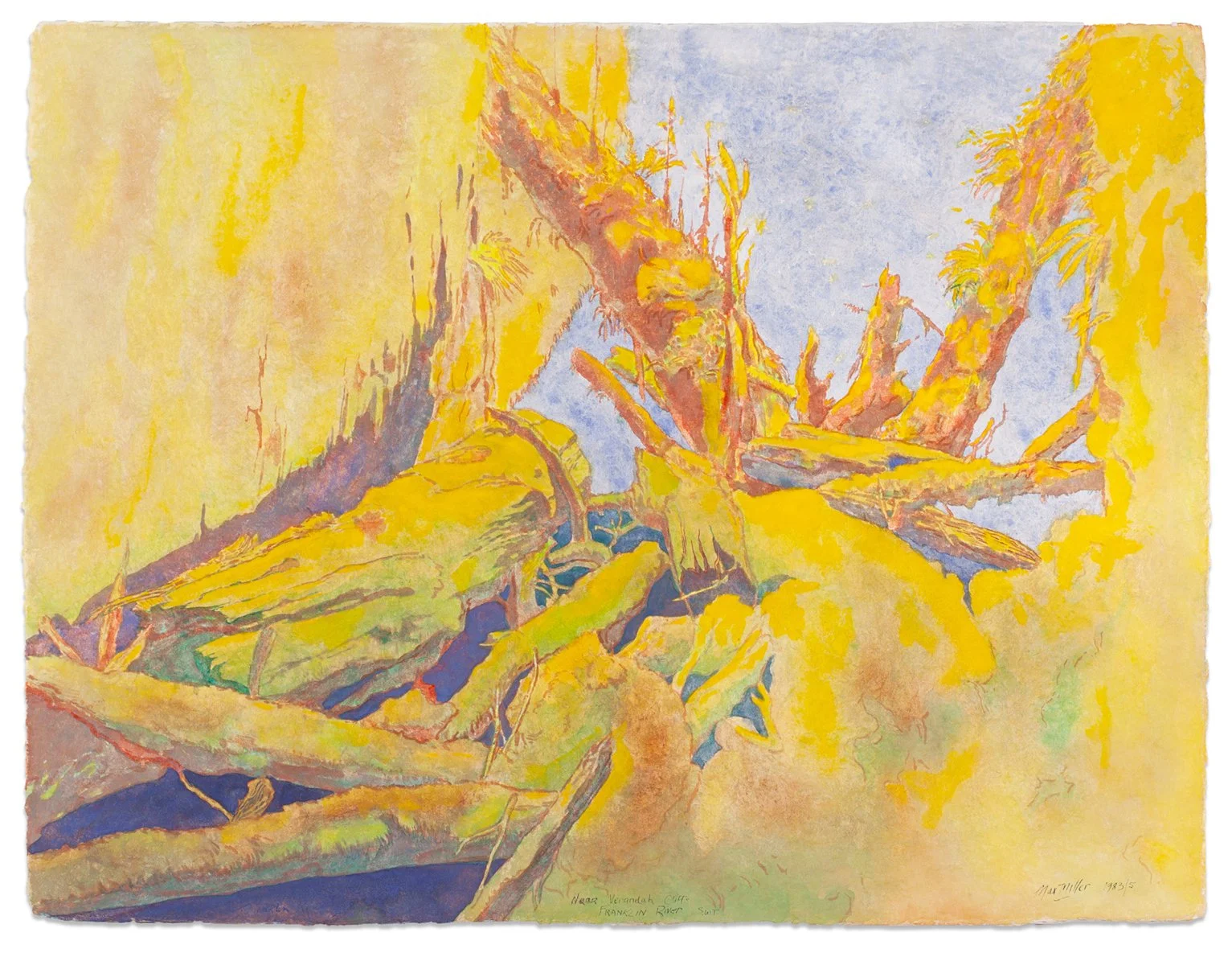 MAX MILLER | Near Verandah Cliff, Franklin River 1983