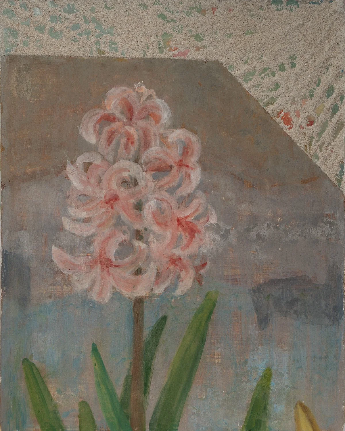 Kaye Mahoney | Hyacinth