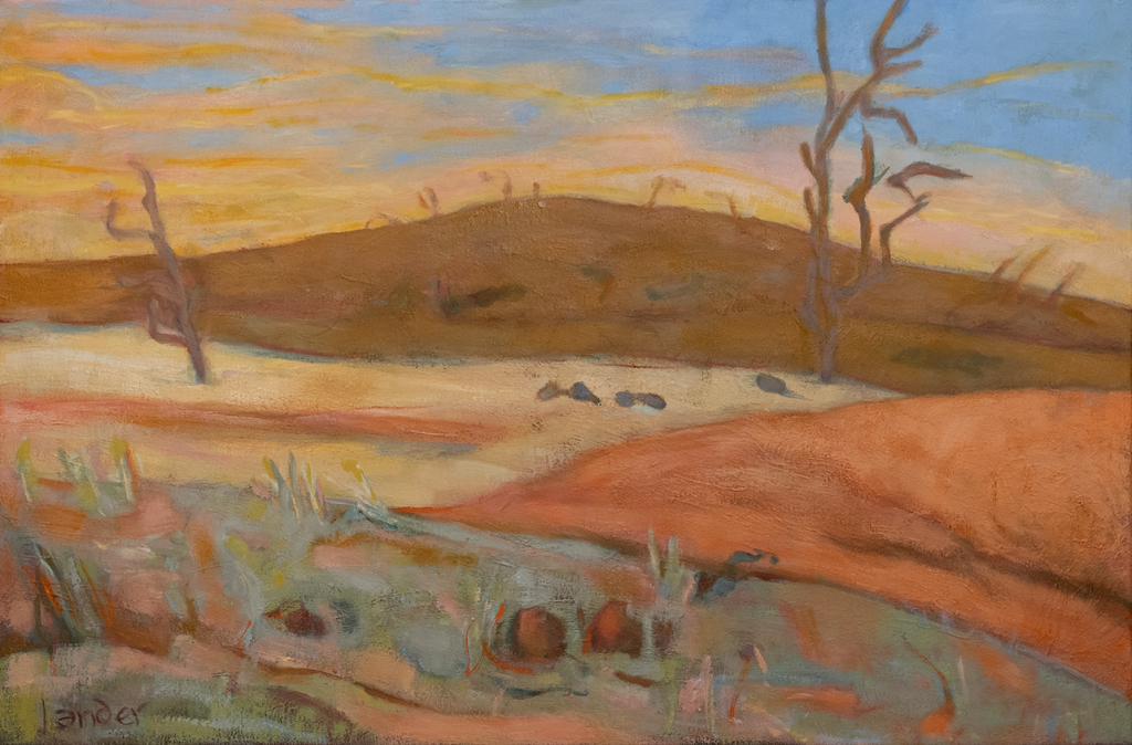 JANIS LANDER | Late afternoon walk