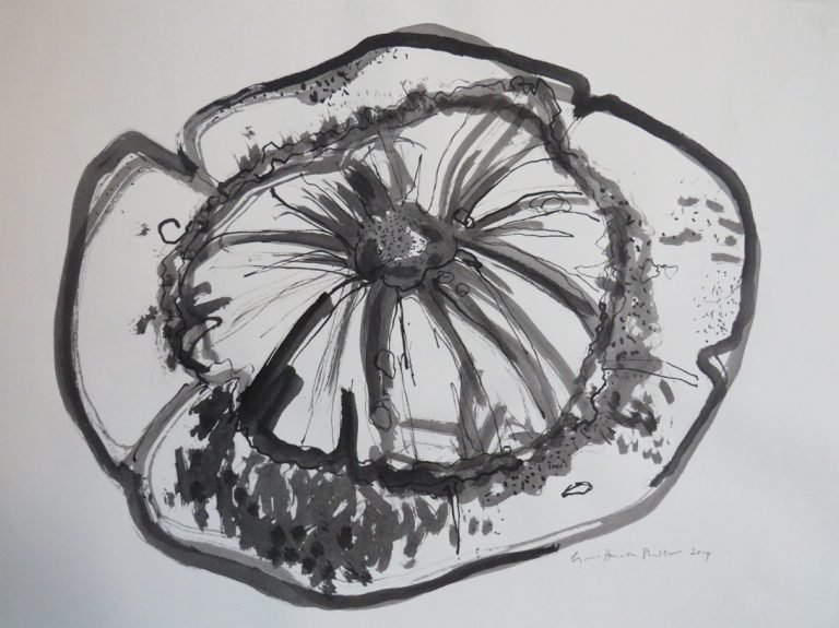 LYNNE HOWARTH | Gladston Gourd 3