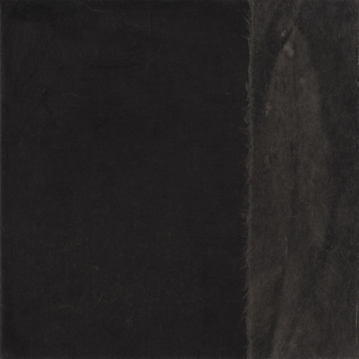 MICHELLE BELGIORNO | Shadows II