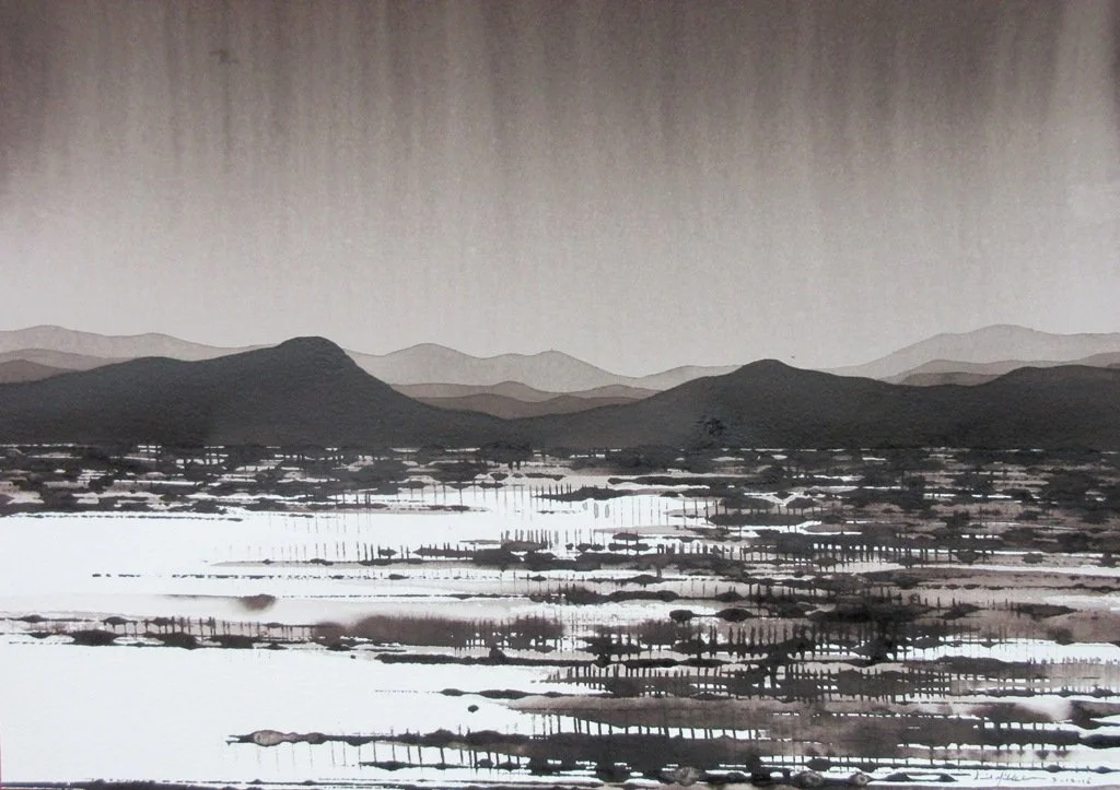 DAVID MIDDLEBROOK | Desert Range and Rain