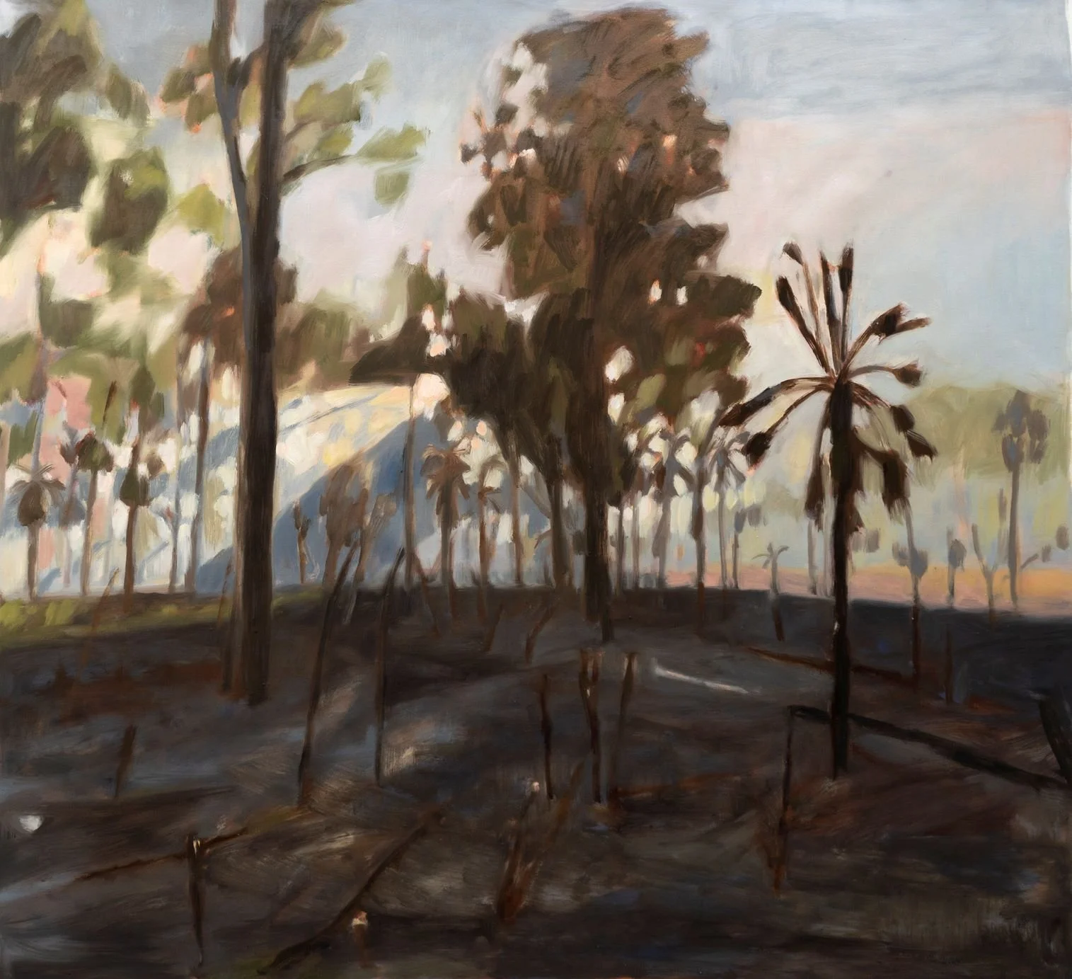 NICK FERGUSON | After the fire