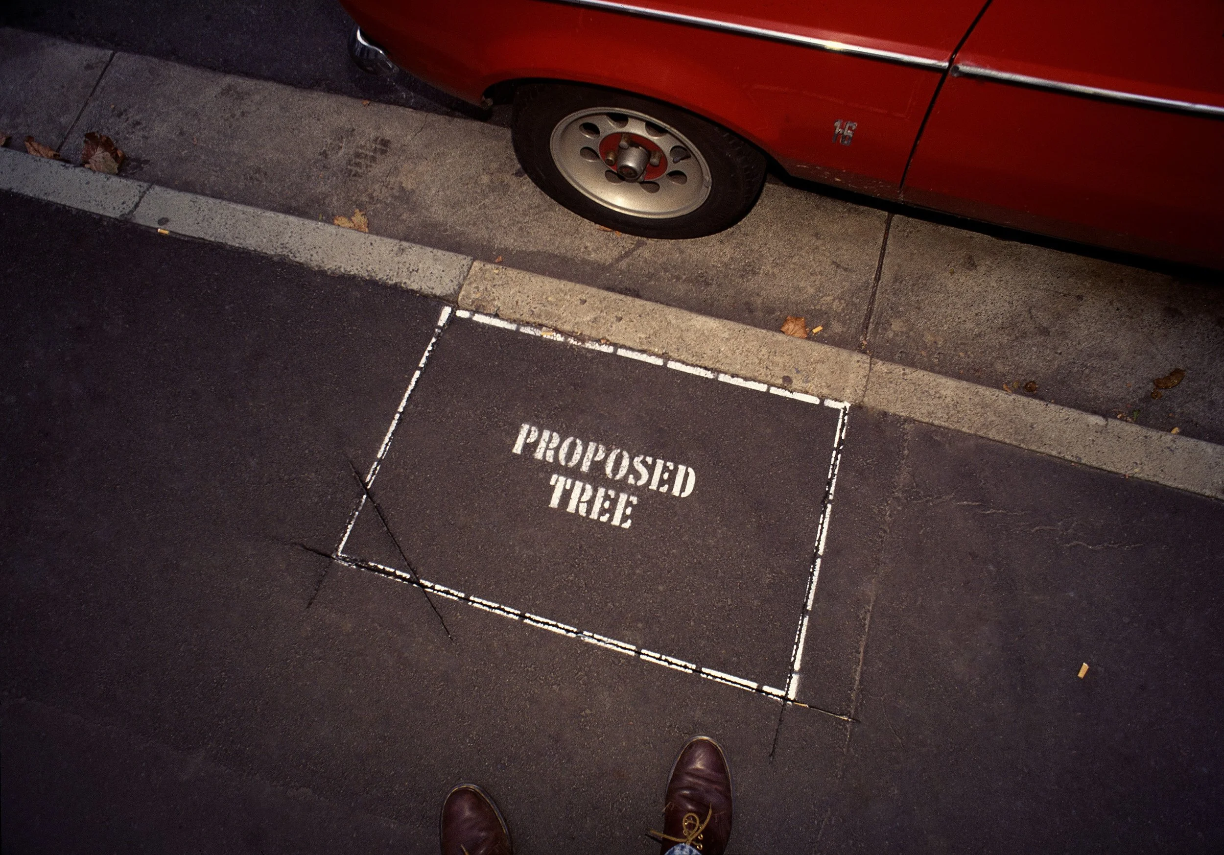 Peter Solness | The ‘Proposed Tree’  Sydney CBD, NSW – 1997