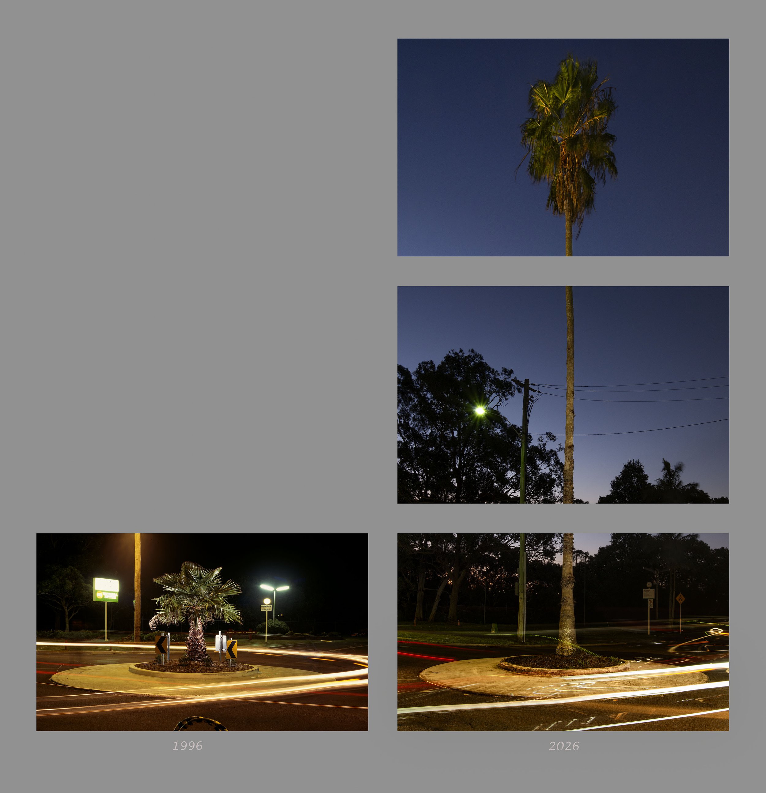 32_1996_ROUND_PALM_MIDRES copy.jpg